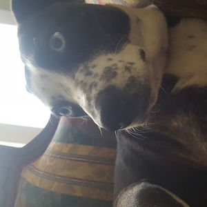 Meet your Posher, Parker